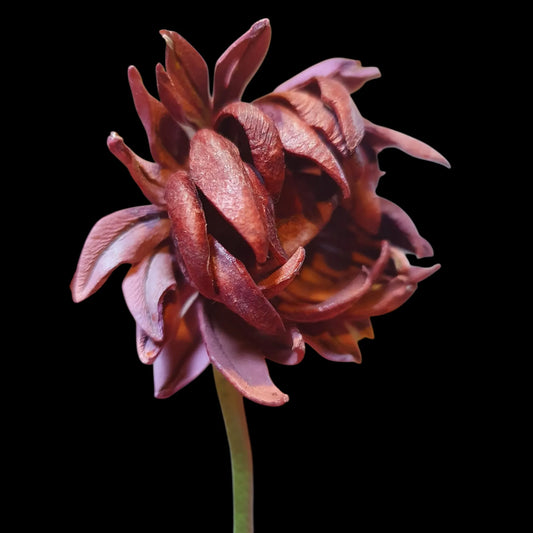 Handmade sculpted leather flower - AG Design, Arad, Romania